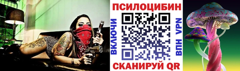 Галлюциногенные грибы Magic Shrooms  Черногорск 