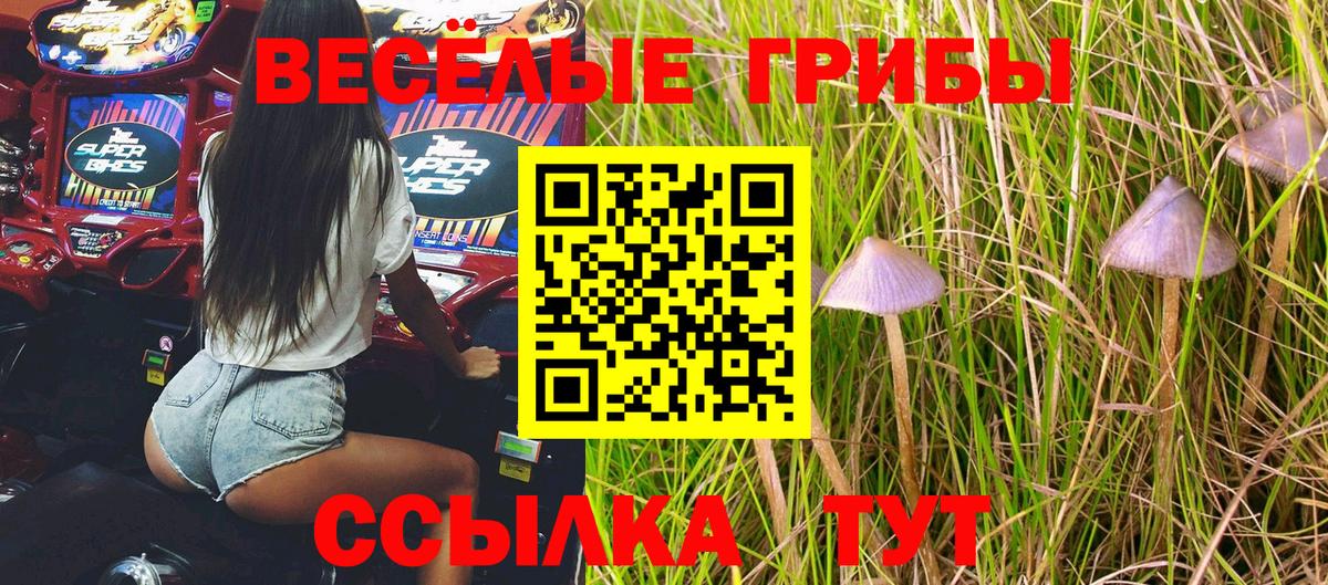 Псилоцибиновые грибы Magic Shrooms  Вход с VPN  Черногорск  Галлюциногенные грибы GOLDEN TEACHER 